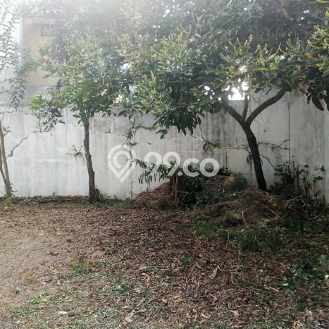 Jual Rumah Modern 3 KT di Cibubur, Jakarta Timur Jual Rumah Modern 3 KT di Cibubur, Jakarta Timur