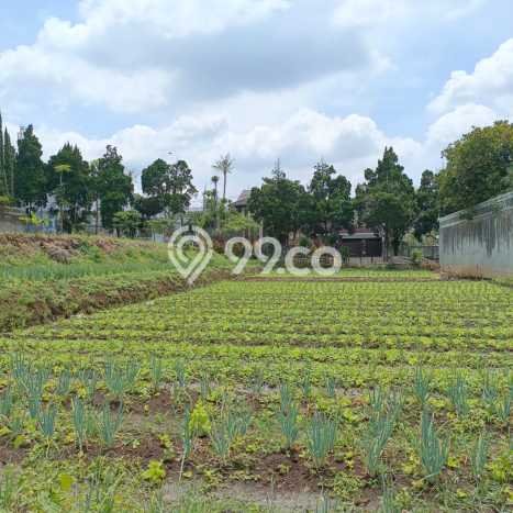 Tanah Kavling Dijual di Bandung dengan Spesifikasi 6539m2 Tanah Kavling Dijual di Bandung dengan Spesifikasi 6539m2