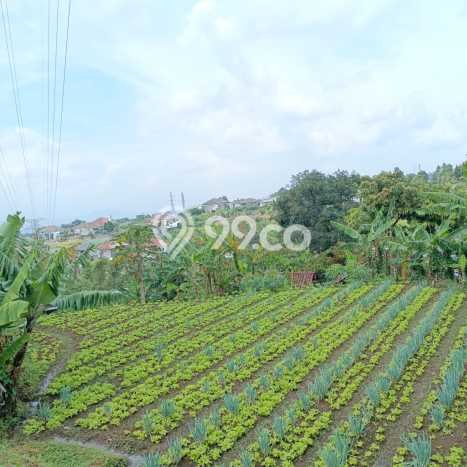 Tanah Kavling Dijual di Bandung dengan Spesifikasi 6539m2 Tanah Kavling Dijual di Bandung dengan Spesifikasi 6539m2
