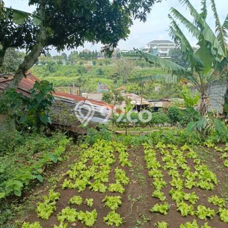 Tanah Kavling Dijual di Bandung dengan Spesifikasi 6539m2 Tanah Kavling Dijual di Bandung dengan Spesifikasi 6539m2