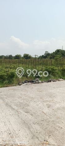 Tanah Kavling Dijual di Tabanan dengan Spesifikasi 500m2 Tanah Kavling Dijual di Tabanan dengan Spesifikasi 500m2
