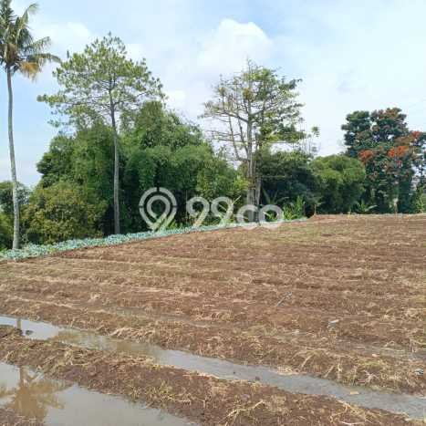 Tanah Kavling Dijual di Bandung dengan Spesifikasi 6539m2 Tanah Kavling Dijual di Bandung dengan Spesifikasi 6539m2