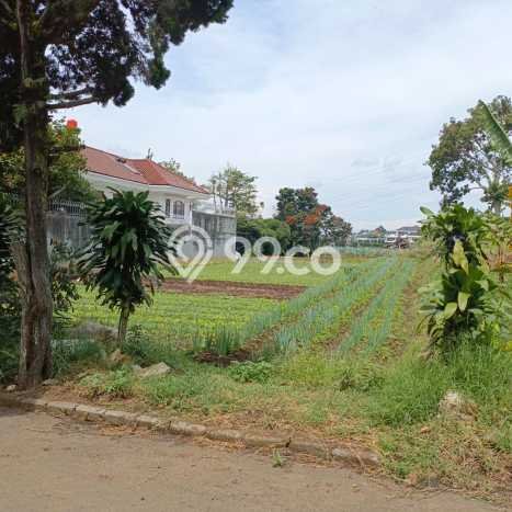 Tanah Kavling Dijual di Bandung dengan Spesifikasi 6539m2 Tanah Kavling Dijual di Bandung dengan Spesifikasi 6539m2