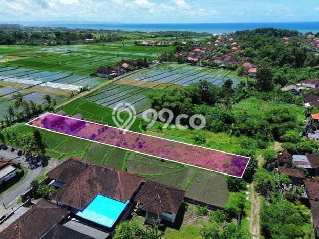 Hunian Super Mewah dengan Akses Paling Strategis di Kelating, Tabanan Hunian Super Mewah dengan Akses Paling Strategis di Kelating, Tabanan