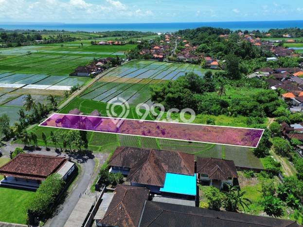 Hunian Super Mewah dengan Akses Paling Strategis di Kelating, Tabanan Hunian Super Mewah dengan Akses Paling Strategis di Kelating, Tabanan