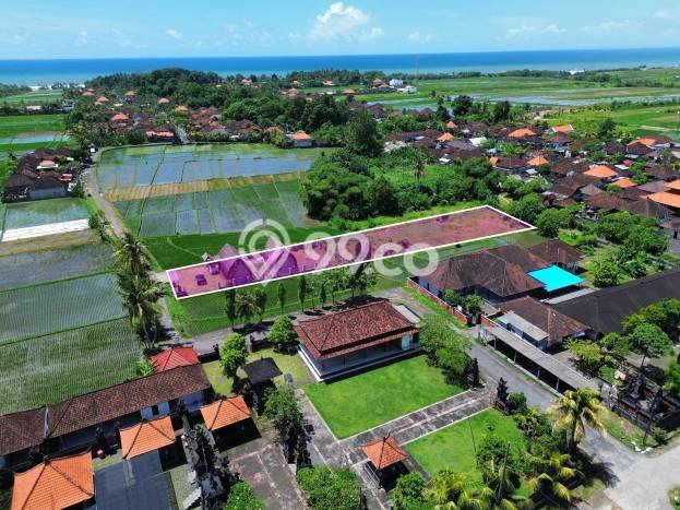 Hunian Super Mewah dengan Akses Paling Strategis di Kelating, Tabanan Hunian Super Mewah dengan Akses Paling Strategis di Kelating, Tabanan
