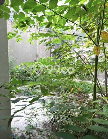 Ruko Bagus Dijual di Pasar Baru Jakarta Pusat Lokasi Strategis Cocok untuk Kembangkan Bisnis Ruko Bagus Dijual di Pasar Baru Jakarta Pusat Lokasi Strategis Cocok untuk Kembangkan Bisnis