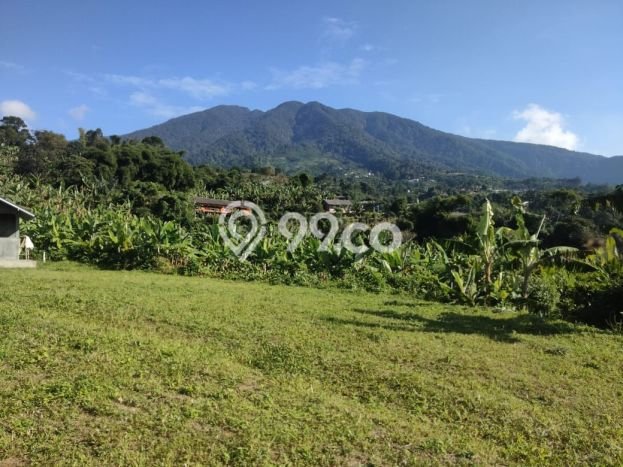 Unit Gudang Dijual di Cigombong Bogor Luas Bangunan 300m2 Unit Gudang Dijual di Cigombong Bogor Luas Bangunan 300m2