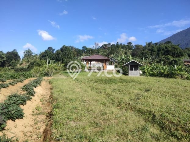 Unit Gudang Dijual di Cigombong Bogor Luas Bangunan 300m2 Unit Gudang Dijual di Cigombong Bogor Luas Bangunan 300m2