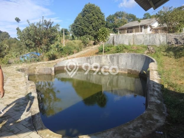 Unit Gudang Dijual di Cigombong Bogor Luas Bangunan 300m2 Unit Gudang Dijual di Cigombong Bogor Luas Bangunan 300m2