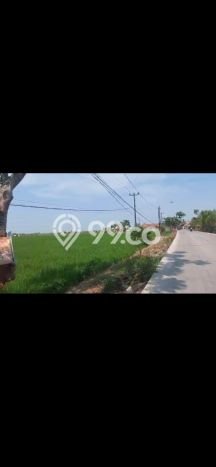 Lahan Dijual Lokasi Tambelang, Bekasi dengan Luas Tanah 6e+06m2 dan Status SHM Lahan Dijual Lokasi Tambelang, Bekasi dengan Luas Tanah 6e+06m2 dan Status SHM