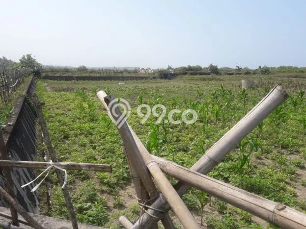 Dijual Tanah Lokasi Strategis di Ciracap, Luas 200000m2m², Akses Ciracap, Sukabumi, Sukabumi Dijual Tanah Lokasi Strategis di Ciracap, Luas 200000m2m², Akses Ciracap, Sukabumi, Sukabumi