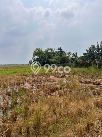 Kavling Tanah di Cikarang Utara Dijual Luas 200000m2 Legalitas SHM Kavling Tanah di Cikarang Utara Dijual Luas 200000m2 Legalitas SHM