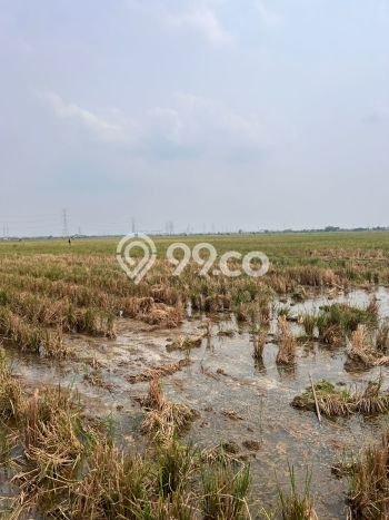Kavling Tanah di Cikarang Utara Dijual Luas 200000m2 Legalitas SHM Kavling Tanah di Cikarang Utara Dijual Luas 200000m2 Legalitas SHM