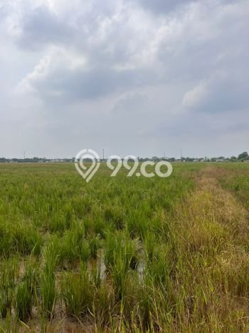 Kavling Tanah di Cikarang Utara Dijual Luas 200000m2 Legalitas SHM Kavling Tanah di Cikarang Utara Dijual Luas 200000m2 Legalitas SHM