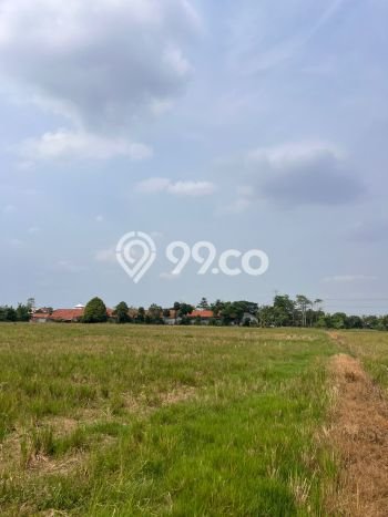 Kavling Tanah di Cikarang Utara Dijual Luas 200000m2 Legalitas SHM Kavling Tanah di Cikarang Utara Dijual Luas 200000m2 Legalitas SHM