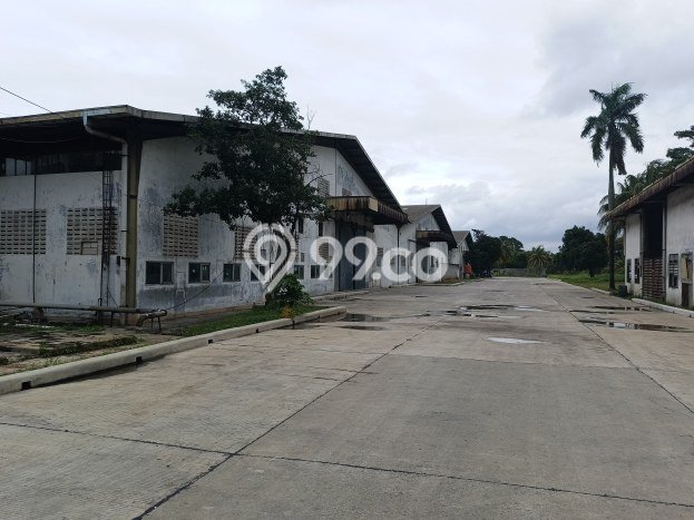 Disewakan Gudang di Citeureup Bogor LT 100000m2, LB 10000m2 Disewakan Gudang di Citeureup Bogor LT 100000m2, LB 10000m2