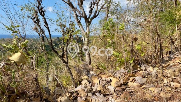 Lahan Strategis di Gerokgak Dijual dengan Luas 22500m2 Lahan Strategis di Gerokgak Dijual dengan Luas 22500m2