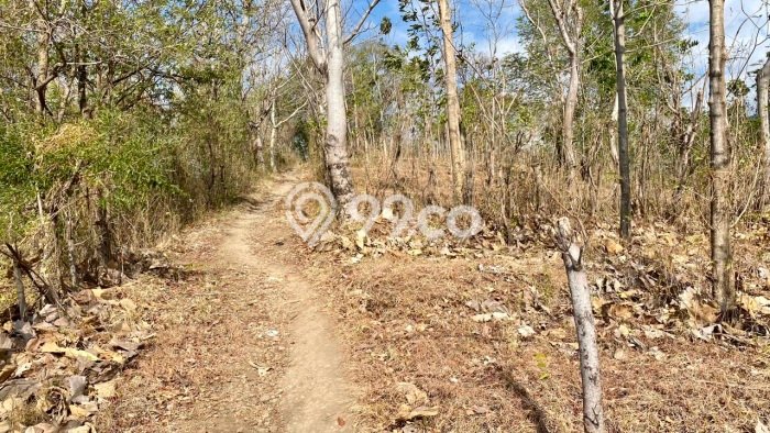 Lahan Strategis di Gerokgak Dijual dengan Luas 22500m2 Lahan Strategis di Gerokgak Dijual dengan Luas 22500m2