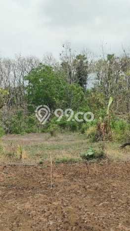 Tanah Kavling Dijual di Kaliasem, Buleleng dengan Luas Tanah 4000m2 Tanah Kavling Dijual di Kaliasem, Buleleng dengan Luas Tanah 4000m2
