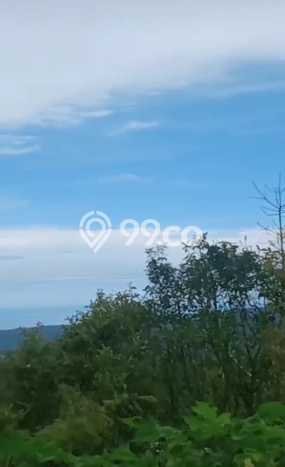 Tanah Dijual Lokasi Balikpapan Timur, Balikpapan Luas 500000m2 Legalitas Aman Tanah Dijual Lokasi Balikpapan Timur, Balikpapan Luas 500000m2 Legalitas Aman