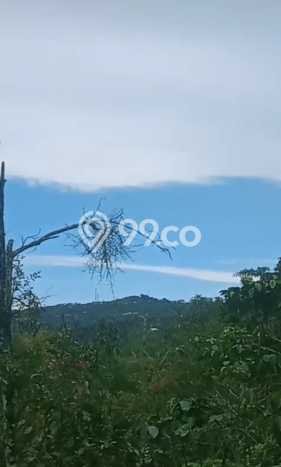 Tanah Dijual Lokasi Balikpapan Timur, Balikpapan Luas 500000m2 Legalitas Aman Tanah Dijual Lokasi Balikpapan Timur, Balikpapan Luas 500000m2 Legalitas Aman
