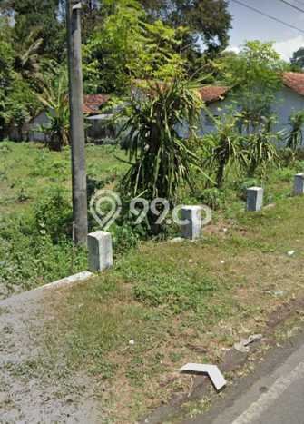 Jarang Ada! Tanah di Muncar Punya Luas 3000m2 SHM Jarang Ada! Tanah di Muncar Punya Luas 3000m2 SHM