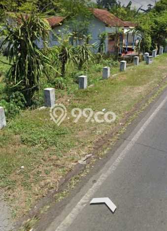 Jarang Ada! Tanah di Muncar Punya Luas 3000m2 SHM Jarang Ada! Tanah di Muncar Punya Luas 3000m2 SHM