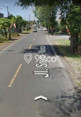 Jarang Ada! Tanah di Muncar Punya Luas 3000m2 SHM Jarang Ada! Tanah di Muncar Punya Luas 3000m2 SHM