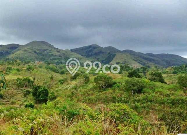 Tanah Kavling Dijual di Nusa Penida, Klungkung dengan Luas Tanah 15000m2 Tanah Kavling Dijual di Nusa Penida, Klungkung dengan Luas Tanah 15000m2