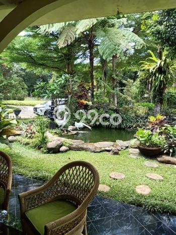 FOR SALE! Komersial di Ciawi Bogor, LT 111m2, LB 1111m2 FOR SALE! Komersial di Ciawi Bogor, LT 111m2, LB 1111m2