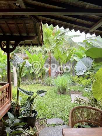 Komersial Usaha Dijual di Ubud Gianyar LT 150m2 & LB 50m2 Komersial Usaha Dijual di Ubud Gianyar LT 150m2 & LB 50m2