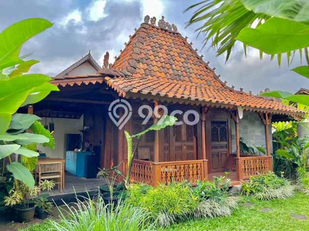 Komersial Usaha Dijual di Ubud Gianyar LT 150m2 & LB 50m2 Komersial Usaha Dijual di Ubud Gianyar LT 150m2 & LB 50m2