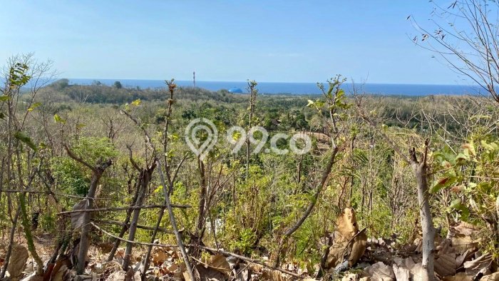 Lahan Strategis di Gerokgak Dijual dengan Luas 22500m2 Lahan Strategis di Gerokgak Dijual dengan Luas 22500m2