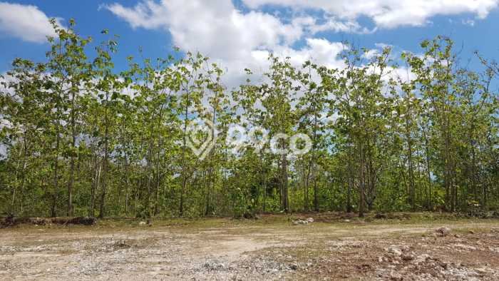 Untuk Dijual Tanah 330m2 di Nusa Penida, Klungkung Untuk Dijual Tanah 330m2 di Nusa Penida, Klungkung