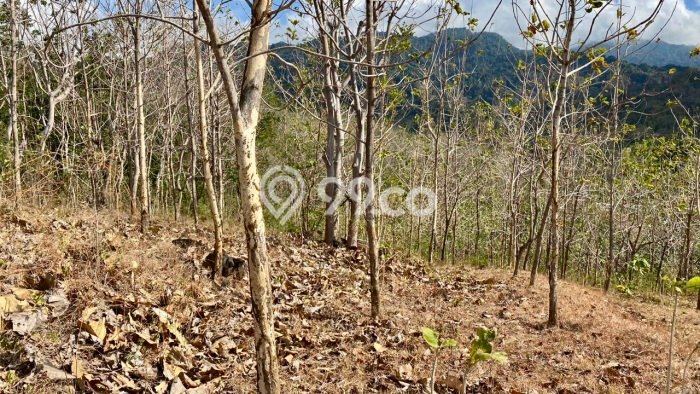 Lahan Strategis di Gerokgak Dijual dengan Luas 22500m2 Lahan Strategis di Gerokgak Dijual dengan Luas 22500m2