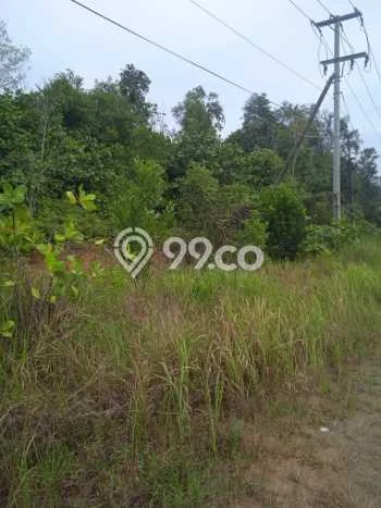 Tanah Dijual di Balikpapan Seluas 75000m2 Strategis Tanah Dijual di Balikpapan Seluas 75000m2 Strategis
