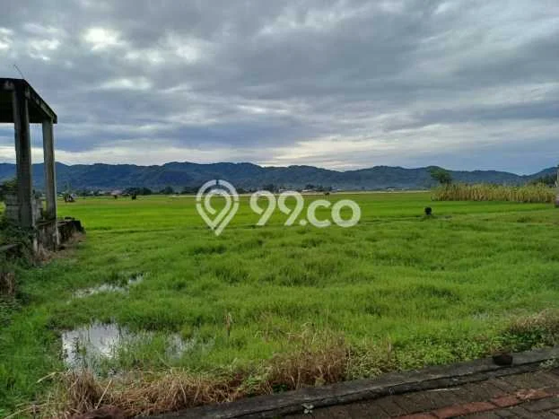 Lahan Dijual Lokasi Strategis di Balikpapan dengan Luas 180000m2 Lahan Dijual Lokasi Strategis di Balikpapan dengan Luas 180000m2