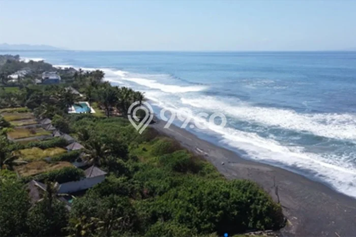 Jarang Ada! Tanah Kavling Disewakan di Gianyar 2500m2 Jarang Ada! Tanah Kavling Disewakan di Gianyar 2500m2