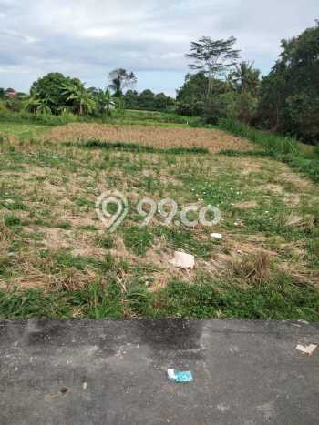 Tanah Dijual di Gianyar Seluas 150m2 Strategis Tanah Dijual di Gianyar Seluas 150m2 Strategis
