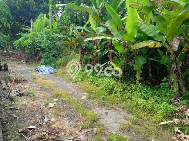 Dijual Tanah Lokasi Saba, Gianyar Seluas 300m2 Dijual Tanah Lokasi Saba, Gianyar Seluas 300m2