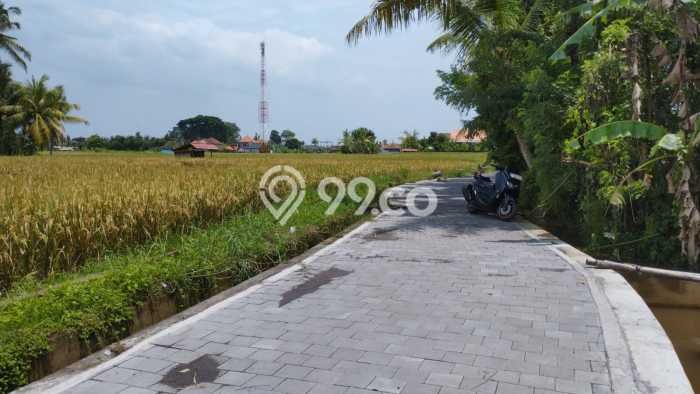 Tanah Dijual Area Strategis di Singapadu Kaler Gianyar 584m2 Tanah Dijual Area Strategis di Singapadu Kaler Gianyar 584m2
