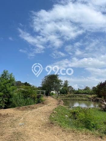 Tanah Kavling Dijual di Gianyar dengan Spesifikasi 425m2 Tanah Kavling Dijual di Gianyar dengan Spesifikasi 425m2