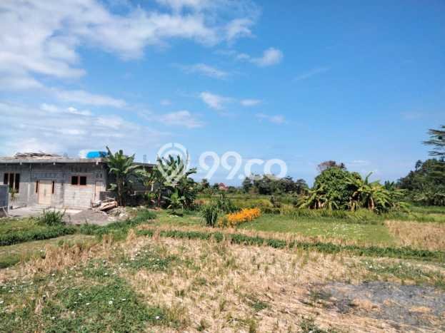 Tanah Dijual di Gianyar Seluas 150m2 Strategis Tanah Dijual di Gianyar Seluas 150m2 Strategis