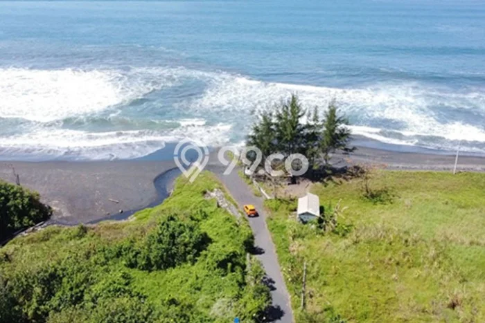 Jarang Ada! Tanah Kavling Disewakan di Gianyar 2500m2 Jarang Ada! Tanah Kavling Disewakan di Gianyar 2500m2