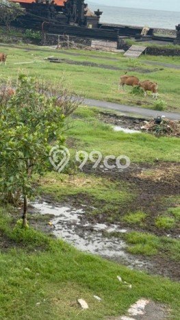 Kavling Tanah untuk Dijual di Ketewel, Gianyar, Luas 2300m2 Kavling Tanah untuk Dijual di Ketewel, Gianyar, Luas 2300m2