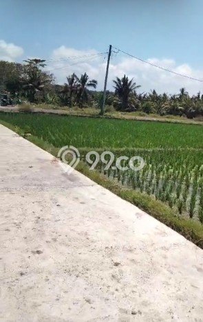 Tanah Kawasan , Luas 545m2m², Kawasan Bisnis Tanah Kawasan , Luas 545m2m², Kawasan Bisnis