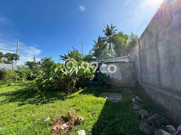 Tanah Dijual di Buleleng Seluas 1000m2 Strategis Tanah Dijual di Buleleng Seluas 1000m2 Strategis