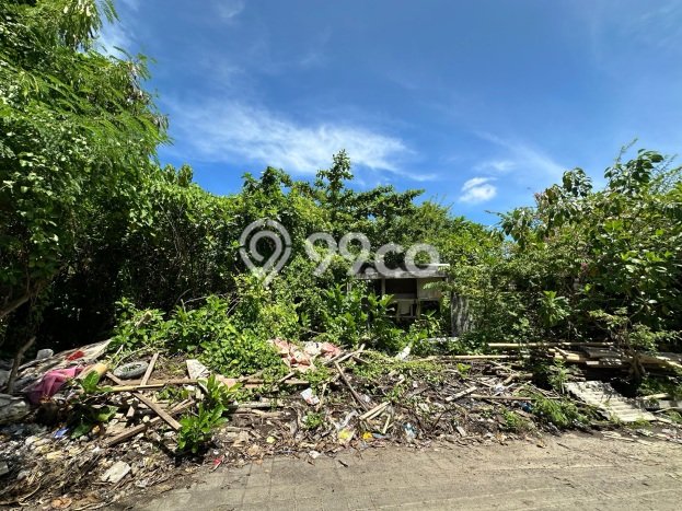 Disewakan Tanah di Canggu Badung Seluas 1050m2 Disewakan Tanah di Canggu Badung Seluas 1050m2
