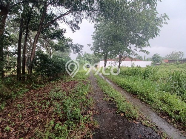 Tanah Kavling Dijual di Bekasi dengan Spesifikasi 366m2 Tanah Kavling Dijual di Bekasi dengan Spesifikasi 366m2
